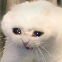 emoji_1 emote