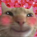 598abac1a33211949014d2d4b1149def emote