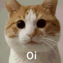 cat emote