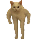 cat_sup Emote