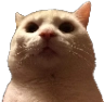 2mole Emote