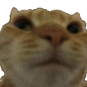 NuhUh Emote
