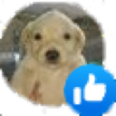 like Emote