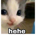 carhehe emote