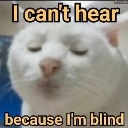 Imblind Emote