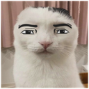 2278manfacecat Emote