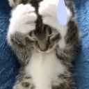emoji_34 emote