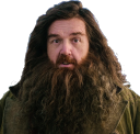 hagrid_surprised emote