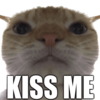 Kiss emote