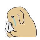 e_z_woof_tissue emote