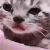 sadkitty Emote
