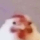 peplan Emote