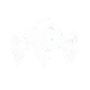 wings emote