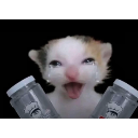 het_kho_ga_rui Emote