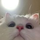 z_ee Emote