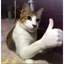 Screenshot20260517012614 emote