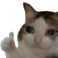 THUMBS_UP emote
