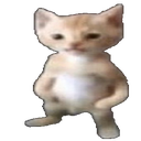 hp_choppa emote