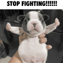 stopfighting emote