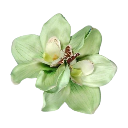 green emote