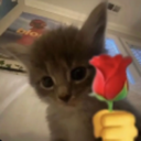 emoji_5 emote