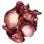 R_Seeds Emote