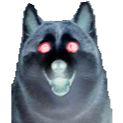NegaHusky Emote