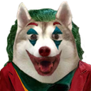 JokerHusky emote