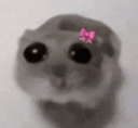 JustAGirliepop Emote