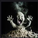 Screenshot20250726145408 emote