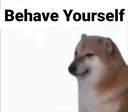 behave Emote