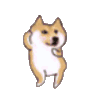 dancindoggo Emote