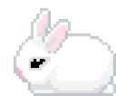 95_bun emote