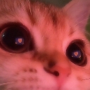 catinlove Emote