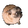 dogflex emote