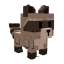 Raccoon emote