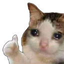 SadCatThumbsUp Emote