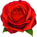 wild_rose emote