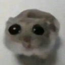 emoji_2 emote