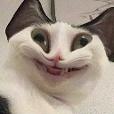 emoji_35 Emote
