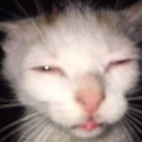 emoji_1783069274066 Emote