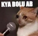 tmr_ky_bolu_aab Emote