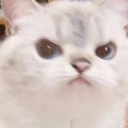 emoji_113 Emote