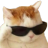 coolcat emote